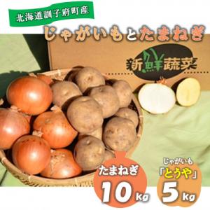 【先行受付　9月中旬以降発送】佐藤農場のじゃがいも「とうや」5kgと玉葱10kgセット
