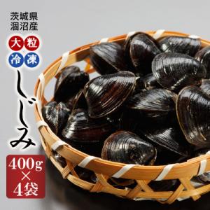 ふるさと納税 大洗町 涸沼産 大粒 冷凍シジミ 1.6kg(400g×4袋)｜y-sf