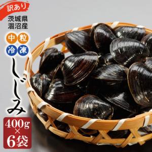 ふるさと納税 大洗町 訳あり!!涸沼産 中粒 冷凍シジミ2.4kg(400g×6袋)｜y-sf