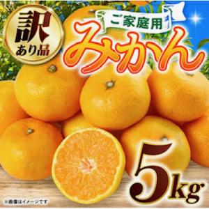 ふるさと納税 八代市 【訳ありサイズミックス】熊本県産　みかん　5kg