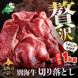 ふるさと納税 別海町 別海牛 切り落とし 大満足 1kg (250g×4) うれしい小分け 訳あり 北海道  国産 冷凍｜y-sf