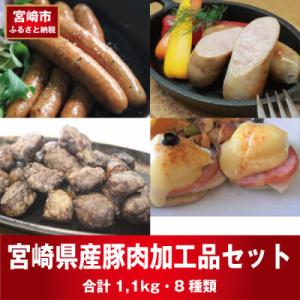 ふるさと納税 宮崎市 宮崎県産豚肉加工品セット(合計8種1.1kg)