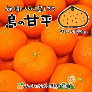 希望の島 甘平(かんぺい) 家庭用 約3kg 愛媛 中島産