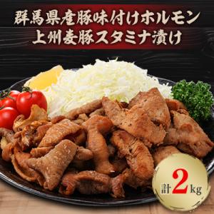 ふるさと納税 吉岡町 上州麦豚スタミナ漬け・群馬県産豚味付けホルモン2kg(200g×各5パック)個...