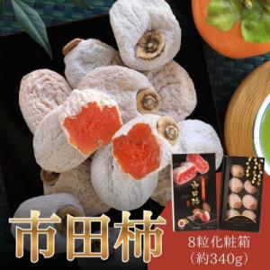 ふるさと納税 松川町 【南信州産】市田柿　化粧箱　大粒厳選8粒 JA41
