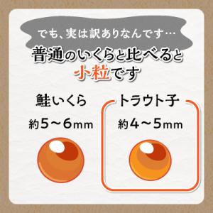 ふるさと納税 白糠町 【訳あり】ひめしずく 6...の詳細画像2