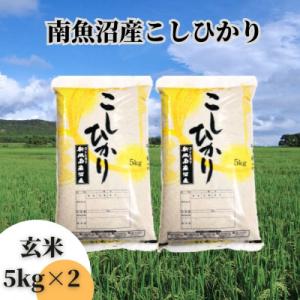 ふるさと納税 南魚沼市 【令和5年産】【新潟県 特A地区】南魚沼産こしひかり　玄米10kg(5kg×...