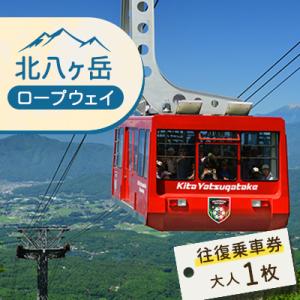 ふるさと納税 茅野市 北八ヶ岳ロープウェイ往復乗...の商品画像
