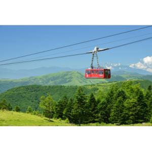 ふるさと納税 茅野市 北八ヶ岳ロープウェイ往復...の詳細画像2