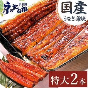 浜名湖・うなぎのたなかの長蒲焼2本セット!ふっくら柔らか♪国産うなぎ長蒲焼※合計360g程度