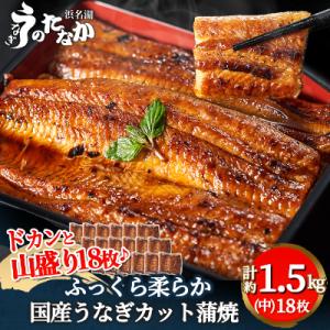ふるさと納税 磐田市 浜名湖・うなぎのたなかのド...の商品画像