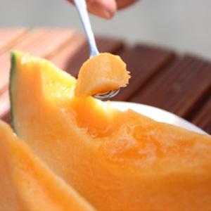 ふるさと納税 富良野市 【2026年発送先行受...の詳細画像2