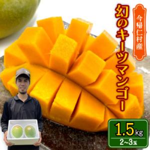 【先行受付・2026年8月から順次発送】仲本マンゴー園の幻のキーツマンゴー1.5kg