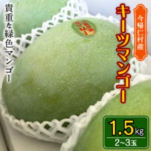 ふるさと納税 今帰仁村 沖縄県今帰仁村産のキーツマンゴー1.5kg【2024年8〜10月頃発送予定】...