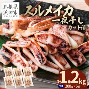 島根県産浜田市加工　スルメイカ一夜干し　食べ応え大満足の合計1.2kg(小分け個包装200g×6袋)