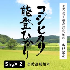 奥能登人気銘柄2種コシヒカリ・能登ひかり 5kgの食べ比べ(精米)