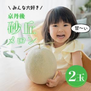 ふるさと納税 京丹後市 みんな大好き甘〜ぃ!京丹後砂丘めろん! 2玉　(2024年7月下旬〜発送)　...