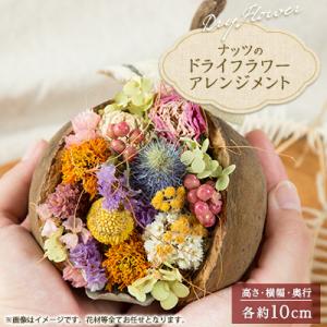 ふるさと納税 磐田市 ナッツのドライフラワーアレンジメント