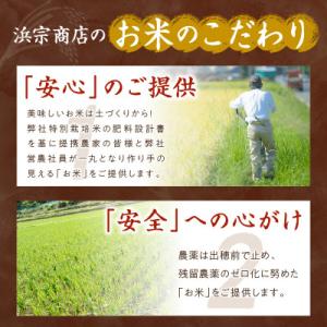 ふるさと納税 京丹後市 【令和7年産】無洗米京...の詳細画像2