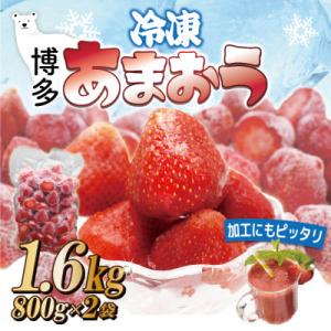 ふるさと納税 太宰府市 福岡県産冷凍あまおう1.6kg(800g×2袋)(太宰府市)