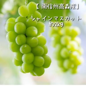 【南信州高森産】シャインマスカット 2kg<2026年9月中旬より発送>