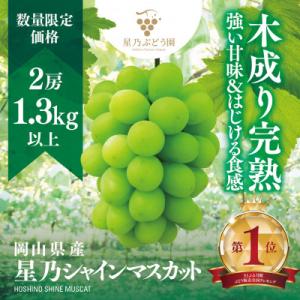 ふるさと納税 津山市 先行受付【三つ星ぶどう】星乃シャインマスカット