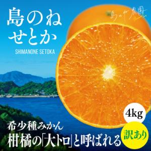 ふるさと納税 今治市 【島のね農園ブランド】(訳...の商品画像