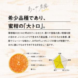 ふるさと納税 今治市 【島のね農園ブランド】(...の詳細画像1