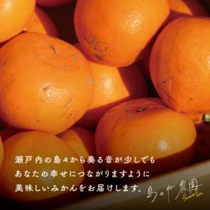 ふるさと納税 今治市 【島のね農園ブランド】(...の詳細画像2