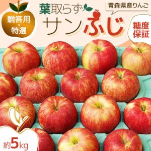 ふるさと納税 鶴田町 【糖度13度保証・特選】 贈答用 葉取らずサンふじ 約5kg  青森県産りんご