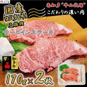 ふるさと納税 南知多町 牛肉 サーロインステーキ 170g×2枚 知多牛 響