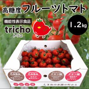 高糖度フルーツトマト「tricho(トリコ)」1.2kg