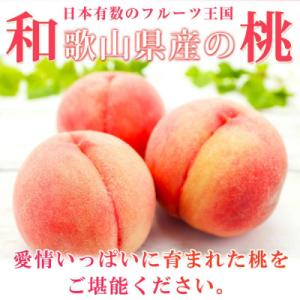 ふるさと納税 上富田町 紀州和歌山産の桃　15玉　化粧箱入