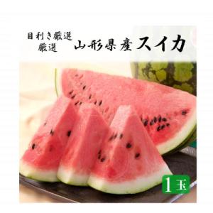 【先行受付】令和8年産 山形県産 すいか 1玉