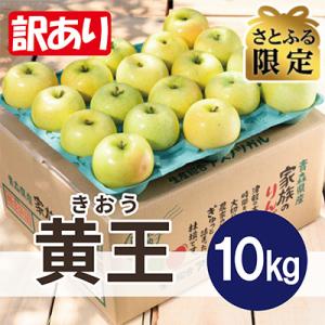 【さとふる限定】8〜9月発送 訳あり 青森 りんご 黄王 約10kg 平均糖度12度以上 産地直送