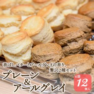 紅茶専門店ティー・イソブチカンパニーの自家製スコーン2種セット(プレーン6個&アールグレイ6個)