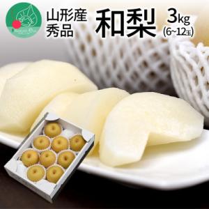 和梨 3kg ギフト箱入り 秀品 山形県 【令和8年産 先行受付】