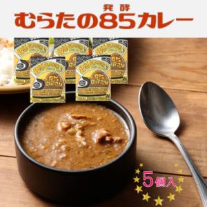 ふるさと納税 村田町 むらた85(発酵)カレーセット(200g×5個)