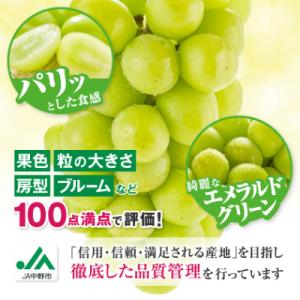 ふるさと納税 中野市 【2026年発送】訳あり...の詳細画像2