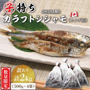 【数量限定!】子持ちカラフトシシャモ2kg(訳アリ品)
