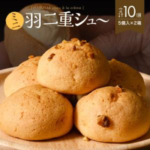 福井の銘菓を洋菓子で味わう 「羽二重シュー」 5個入り × 2箱セット[A-08202]
