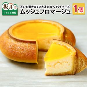 ふるさと納税 坂井市 バターにこだわったムッシュフロマージュ 240g × 1個 [A-0899]