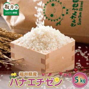 【令和7年産】ハナエチゼン 5kg　坂井市三国町産・こだわりの精米 上白米 [A-0264]