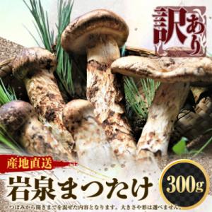 【2026秋発送】【訳アリ】 岩泉まつたけ  300g　家庭用にどうぞ