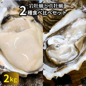 ふるさと納税 南知多町 篠島の2種の天然殻付きカキ2kg(岩牡蠣&amp;真牡蠣)食べ比べセット 生食用/C...