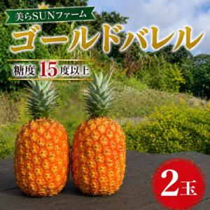 【2026年7月から順次発送】本部町産 糖度15度以上を誇る 高級ゴールドバレル 2玉