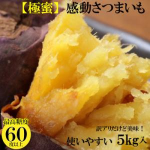 【先行予約】訳あり5キロ熟成紅はるか『感動さつまいも』