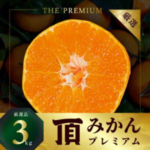 ふるさと納税 八幡浜市 三代目の頂みかんTHEプレミアム【小玉サイズ】3kg【C31-32】