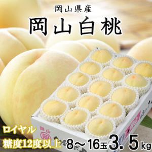 【先行受付】岡山白桃 ロイヤル 8～16玉 3.5kg 岡山県産