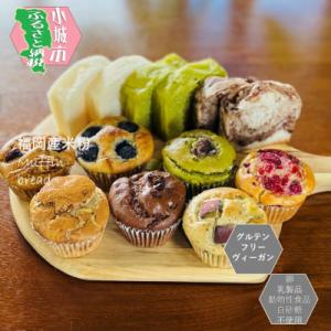 小麦不使用・ヴィーガン米粉の菓子セット(NEW01)
